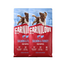 CARNILOVE Active Dog Salmon & Turkey Puppies 2x12 kg lazac és pulyka, fiatal kölyköknek