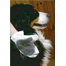 ZOLUX Kesztyű kutya ápolásához és szőr fésüléshez