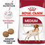 ROYAL CANIN Medium adult 10 kg