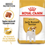 ROYAL CANIN JACK RUSSELL TERRIER ADULT - Jack Russell Terrier felnőtt kutya száraz táp 7,5 kg