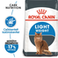 ROYAL CANIN LIGHT WEIGHT CARE - száraz táp felnőtt macskák részére az ideális testsúly eléréséért 3,5 kg