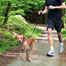 TRIXIE Póráz jogginghoz 090–130 m lengéscsillapítóval