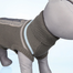 TRIXIE Pulóver "Best of all Breeds", XS: 30 cm