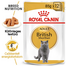 ROYAL CANIN BRITISH SHORTHAIR ADULT - Brit rövidszörű felnőtt macska nedves táp 6x85 g