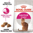 ROYAL CANIN SAVOUR EXIGENT - válogatós felnőtt macska száraz táp 10 + 2 kg
