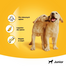 PEDIGREE Fogászati jutalomfalat kölyökkutyáknak Tubos 72 g