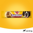 PEDIGREE Jumbone large jutalomfalat nagy méretű kutyáknak 210 g
