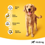 PEDIGREE Vital Protection felnőtt kutyáknak, szárnyas és zöldség  15 kg