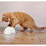 TRIXIE Elemes játék macskáknak mozgásérzékelővel Feather Hider