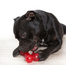 COMFY Játék Strong Dog Bone 16,5cm