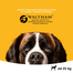 PEDIGREE DentaFlex nagyméretű kutyáknak  9 x 120g
