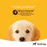 PEDIGREE Junior közepes termetű kutyáknak 2.2 kg + 400g ajándék