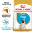 ROYAL CANIN PUG JUNIOR - Mopsz kölyök kutya száraz táp 0,5 kg