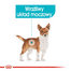 ROYAL CANIN URINARY CARE - nedves táp felnőtt kutyák részére az alsó hugyúti problémák megelőzéséért 85 g