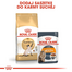 ROYAL CANIN SIAMESE ADULT - Sziámi felnőtt macska száraz táp 4 kg