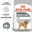 ROYAL CANIN MINI DENTAL CARE - száraz táp felnőtt kistestű kutyák részére a fogkőképződés csökkentéséért 8 kg