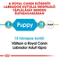 ROYAL CANIN LABRADOR PUPPY - Labrador Retriever kölyök kutya száraz táp 1 kg