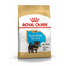 ROYAL CANIN YORKSHIRE TERRIER PUPPY - Yorkshire Terrier kölyök kutya száraz táp 7,5 kg