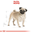 ROYAL CANIN PUG ADULT - Mopsz felnőtt kutya száraz táp 1,5 kg