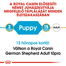 ROYAL CANIN GERMAN SHEPHERD PUPPY - Német Juhász kölyök kutya száraz táp 1 kg