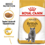 ROYAL CANIN British Shorthair 20 kg (2 x 10 kg) szárazeledel felnőtt brit rövidszőrű macskáknak