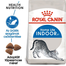 ROYAL CANIN INDOOR - lakásban tartott felnőtt macska száraz táp 20 kg (2 x 10 kg)