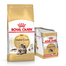 ROYAL CANIN Maine Coon Adult 10 kg + mokra karma Mainecoon 12x85 g dla kotów rasy maine coon