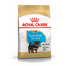 ROYAL CANIN Yorkshire Terrier Junior 7.5 kg + Következő táplálás 0.5kg