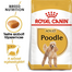ROYAL CANIN POODLE ADULT - Uszkár felnőtt kutya száraz táp 15 kg (2 x 7,5 kg)