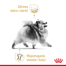 ROYAL CANIN POMERANIAN ADULT 3kg - Pomerániai felnőtt kutya száraz táp
