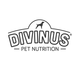 DIVINUS logo