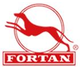 FORTAN logo