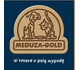 MEDUZA logo