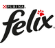 FELIX logo
