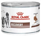 ROYAL CANIN Vet dog-cat recovery 195 g