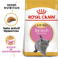 ROYAL CANIN BRITISH SHORTHAIR KITTEN - Brit rövidszőrű kölyök macska száraz táp 10 kg